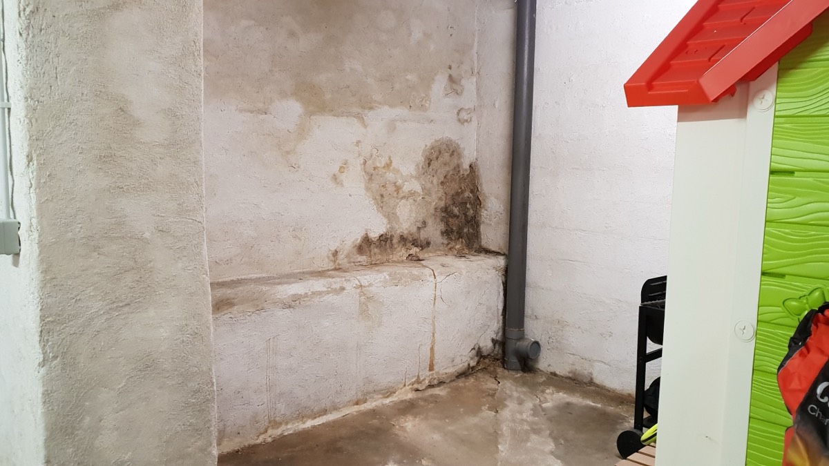 Infiltrations d'eau - Expertise humidité à Bayonne